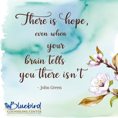 Bluebird Counseling Center LLC